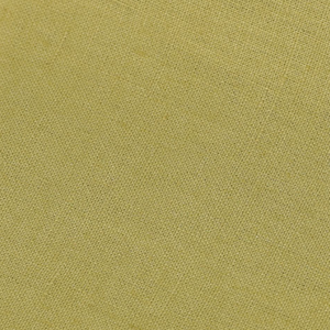 Fabric: Linen Celery Smoke