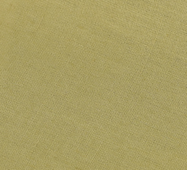 Fabric: Linen Celery Smoke