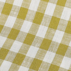 Fabric: Linen Celery Gingham